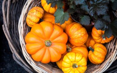 Sustainable Diets